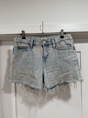 Hudson Gracie Short in Brenda